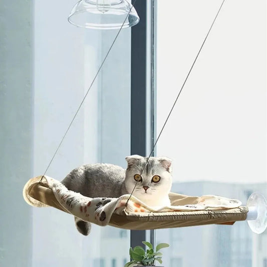 Cat Hanging Beds - SovaMarket