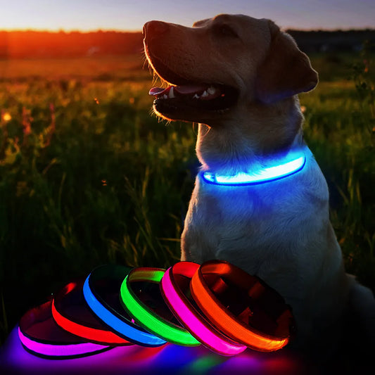 High Visibility Dog Night Safety Collar - SovaMarket